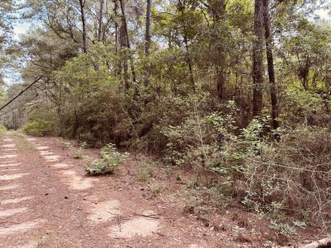 Photo of 16646 E Sioux Drive, Hempstead, TX 77445 (MLS # 49348455) Photo of 16646 E Sioux Drive, Hempstead, TX 77445 (MLS # 49348455)