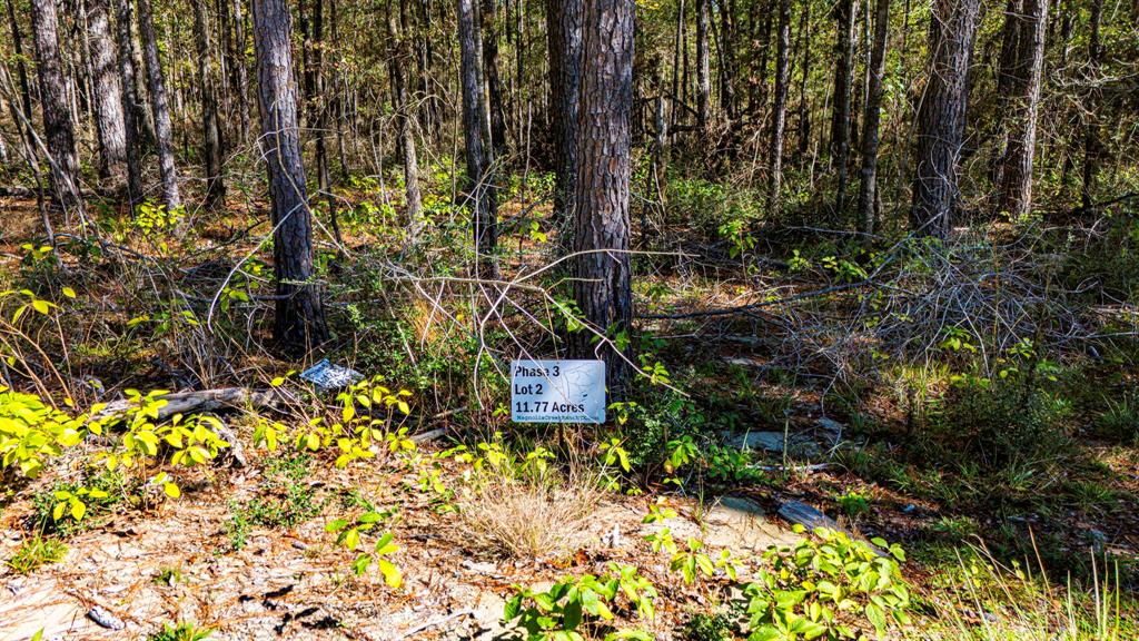 032 King Ranch Road, Onalaska, Texas image 9