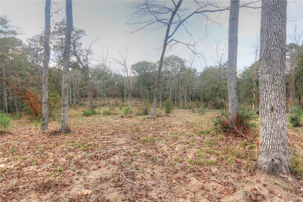 11 Riata, Magnolia, Texas image 4