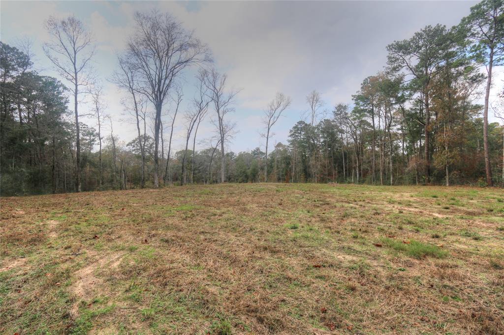 11 Riata, Magnolia, Texas image 3