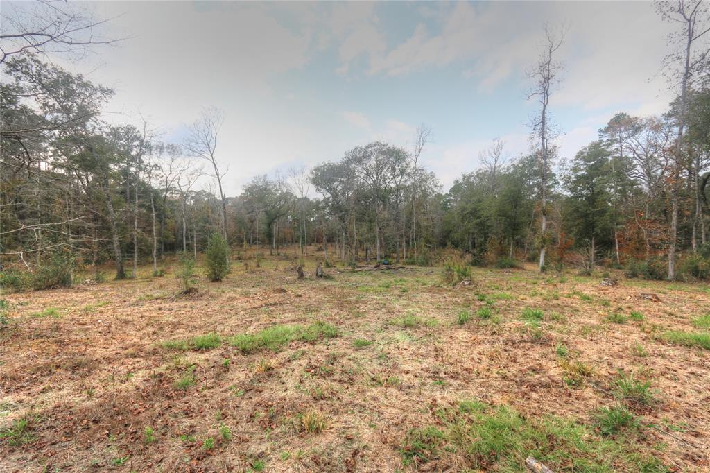 11 Riata, Magnolia, Texas image 5