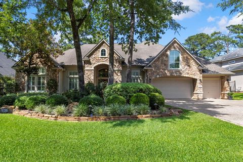 14 Snow Pond Place The Woodlands TX 77382