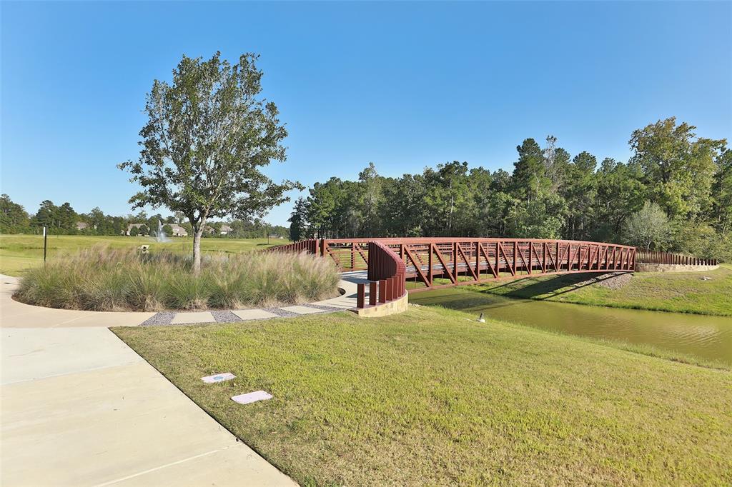 119 Pike Mill Place, Montgomery, Texas image 43