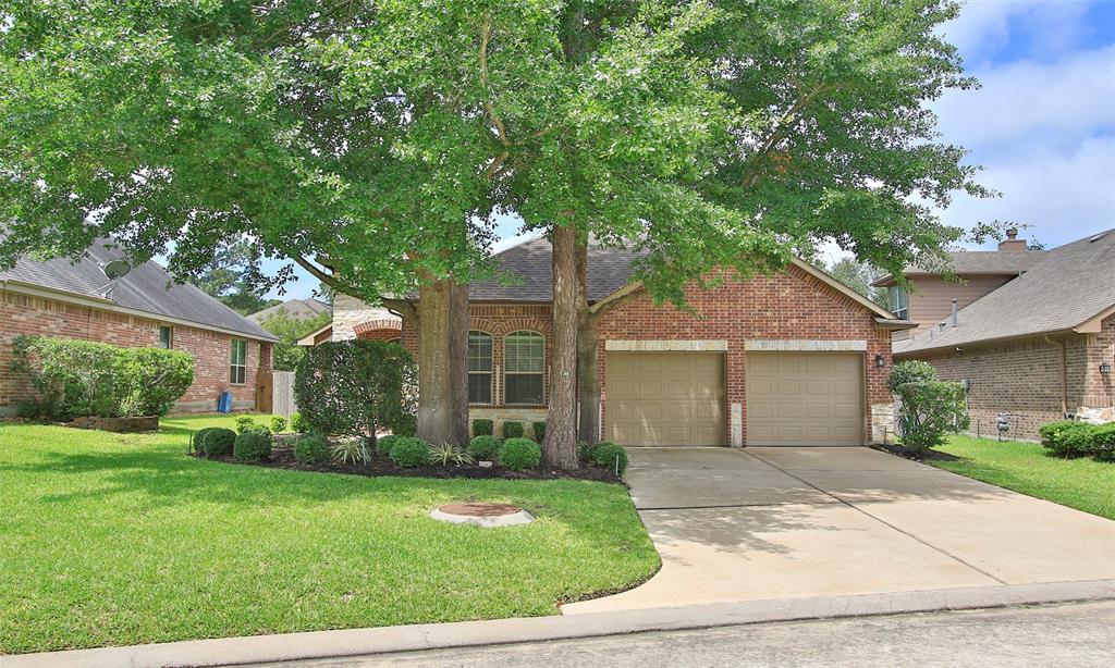 119 Pike Mill Place, Montgomery, Texas image 1
