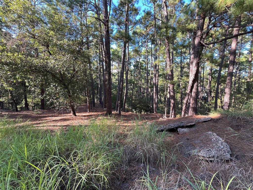 0000 Koa Court, Bastrop, Texas image 9