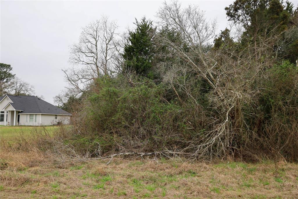 Pearl Street, Waller, Texas image 3