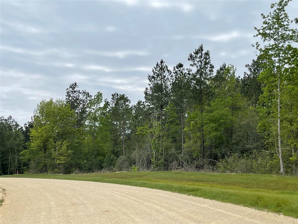 11911 Grand North Road, Willis, Texas image 9