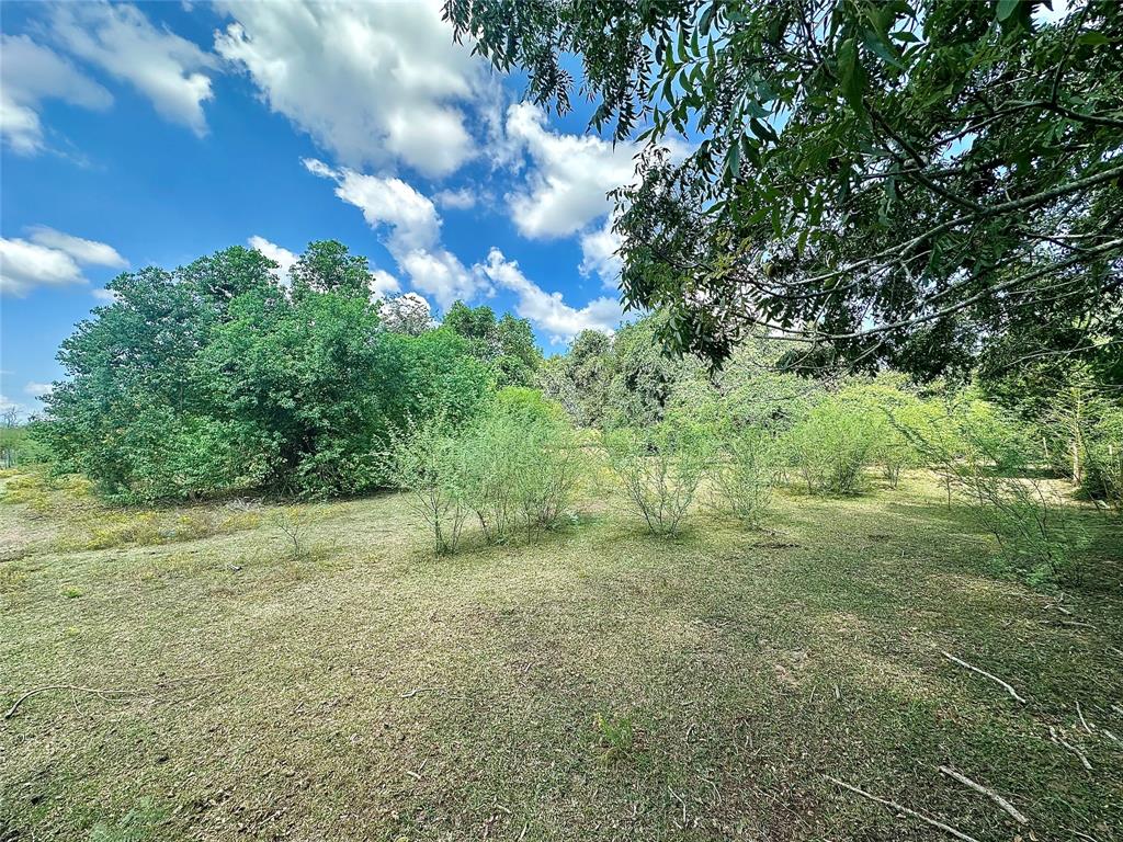 TBD Armstrong School Road, Chappell Hill, Texas image 4