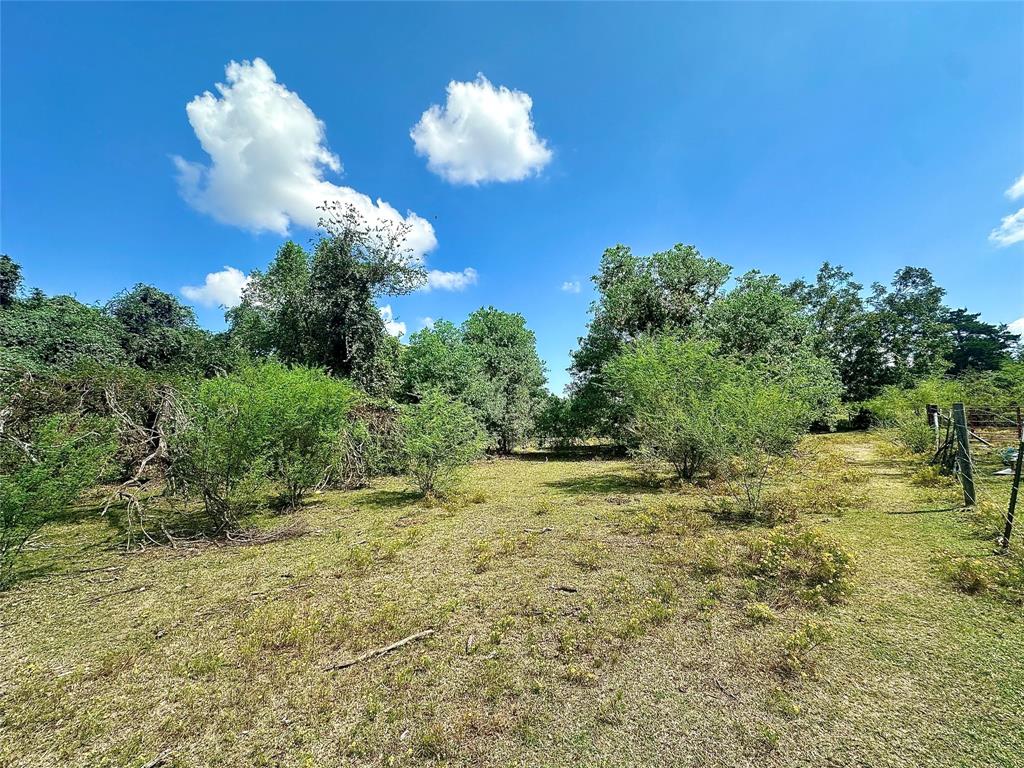 TBD Armstrong School Road, Chappell Hill, Texas image 2