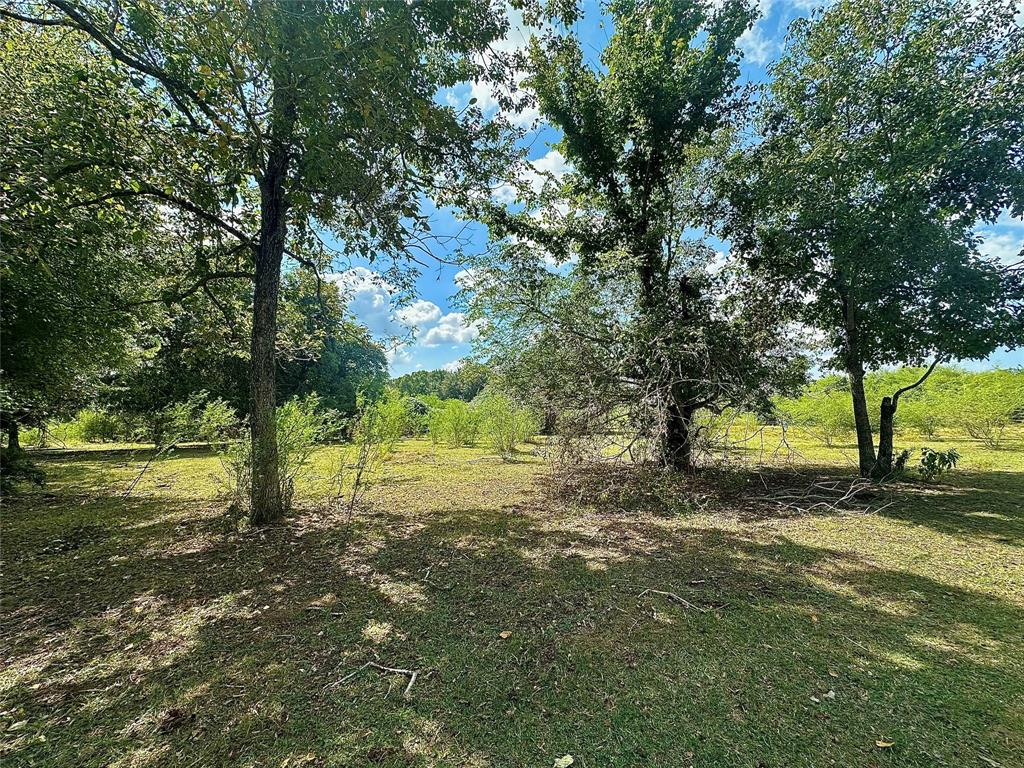 TBD Armstrong School Road, Chappell Hill, Texas image 5