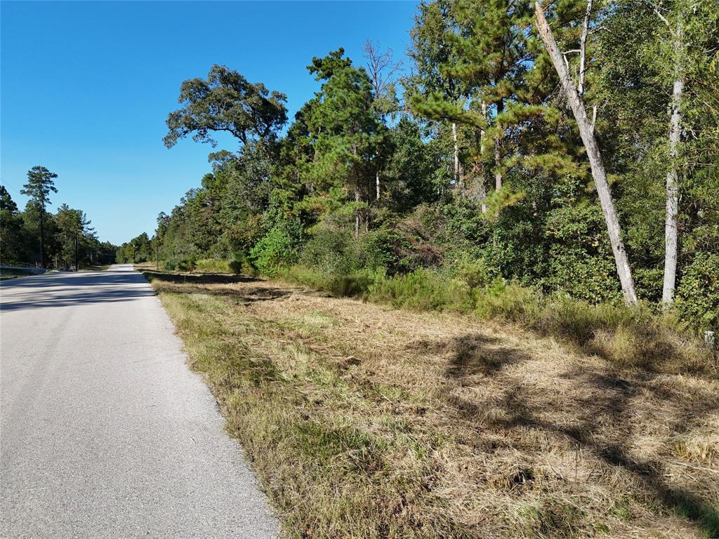 Sky Oak Lane Lane, Huntsville, Texas image 4