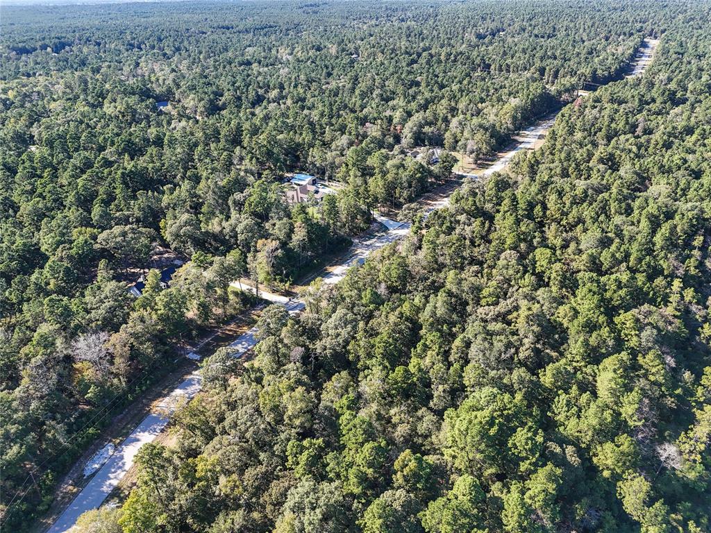 Sky Oak Lane Lane, Huntsville, Texas image 6