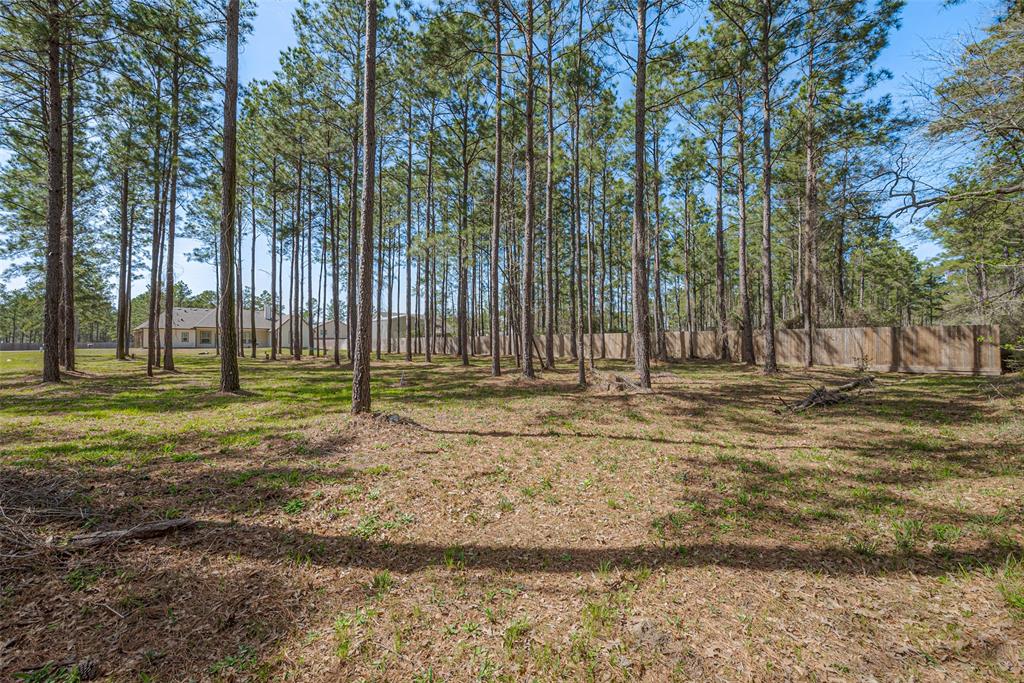 9862 Guadalupe Street, Conroe, Texas image 33