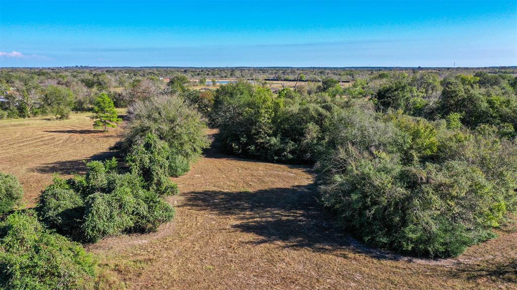 Lot 12 County Rd 229, Bedias, Texas image 7