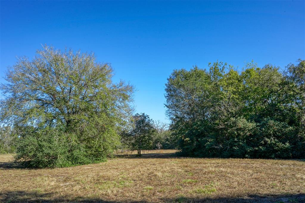 Lot 12 County Rd 229, Bedias, Texas image 4