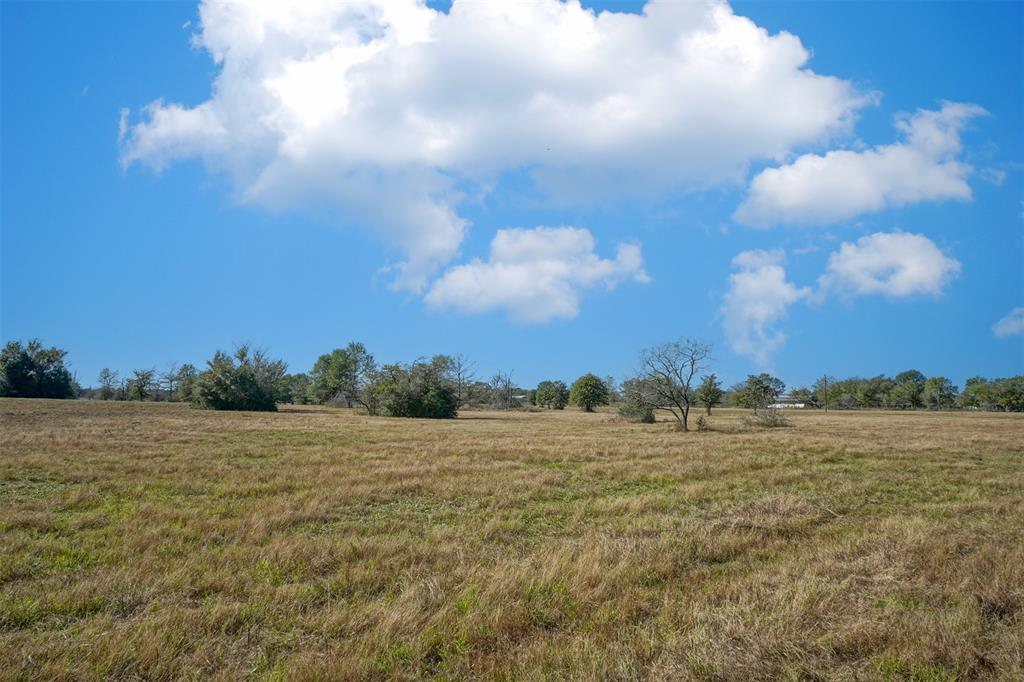 Lot 12 County Rd 229, Bedias, Texas image 14