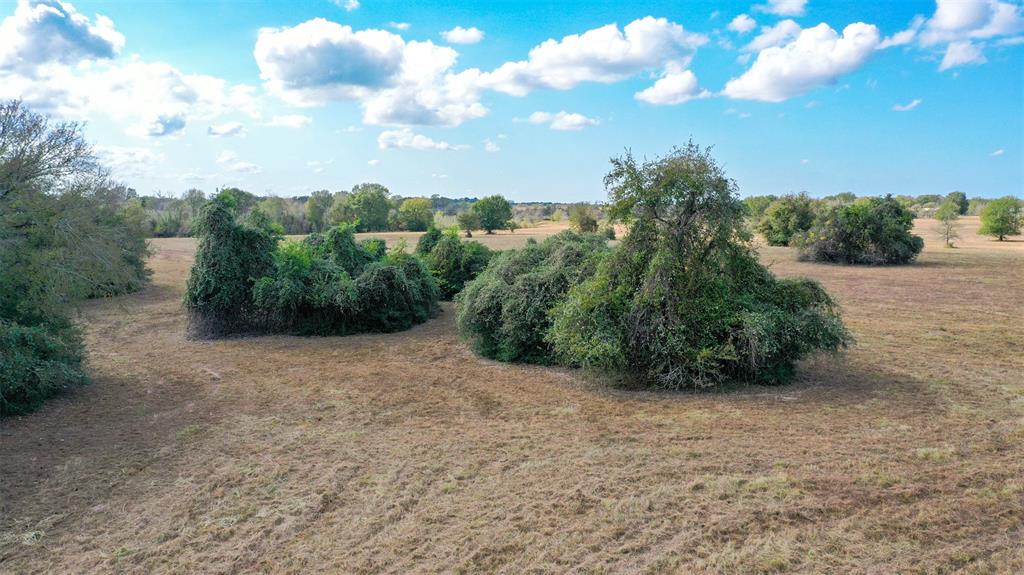 Lot 12 County Rd 229, Bedias, Texas image 16