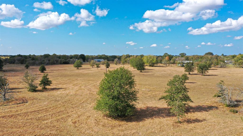 Lot 12 County Rd 229, Bedias, Texas image 2