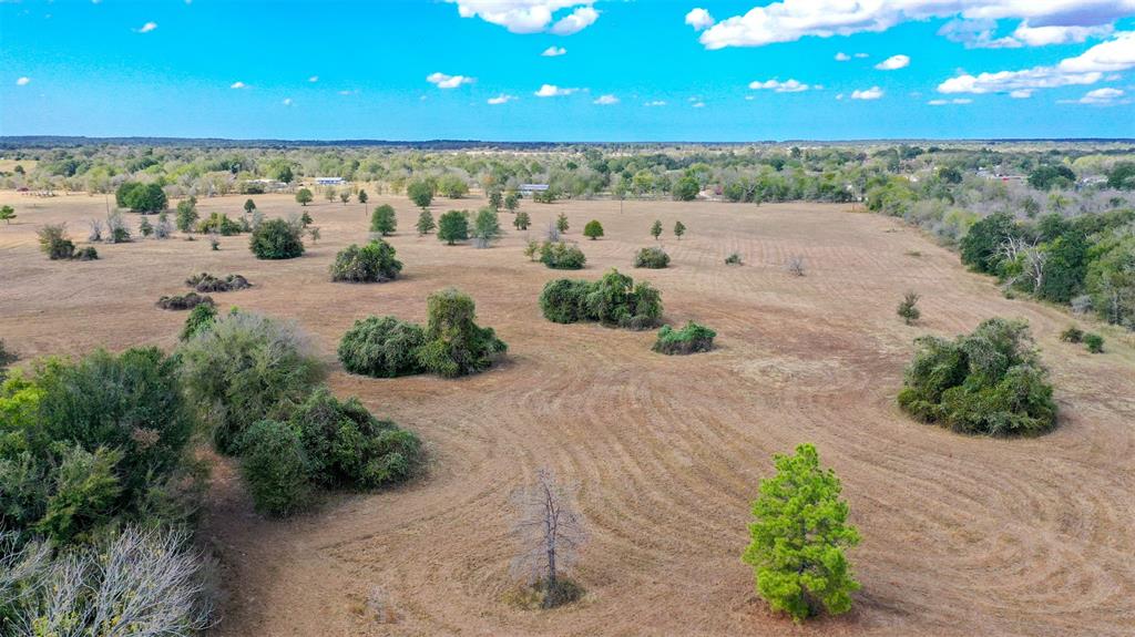 Lot 12 County Rd 229, Bedias, Texas image 11