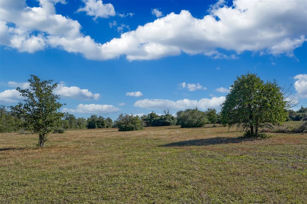 Lot 12 County Rd 229, Bedias, Texas image 10