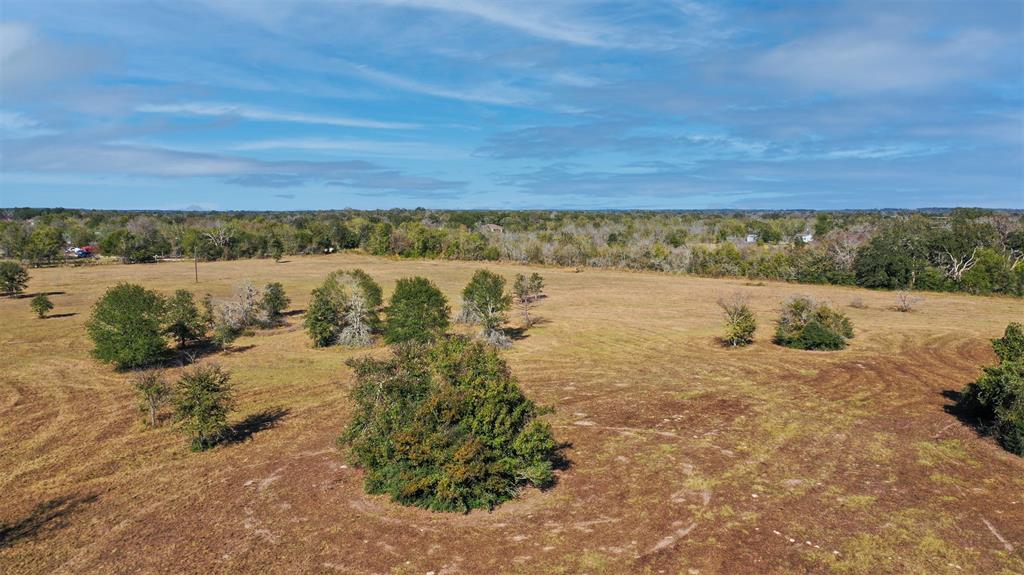 Lot 12 County Rd 229, Bedias, Texas image 15