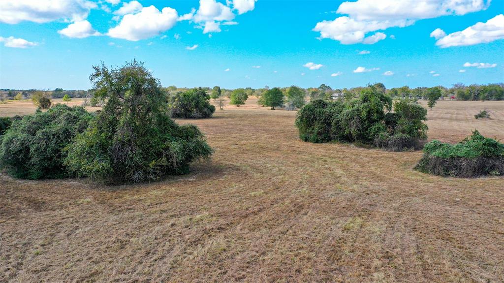 Lot 12 County Rd 229, Bedias, Texas image 8