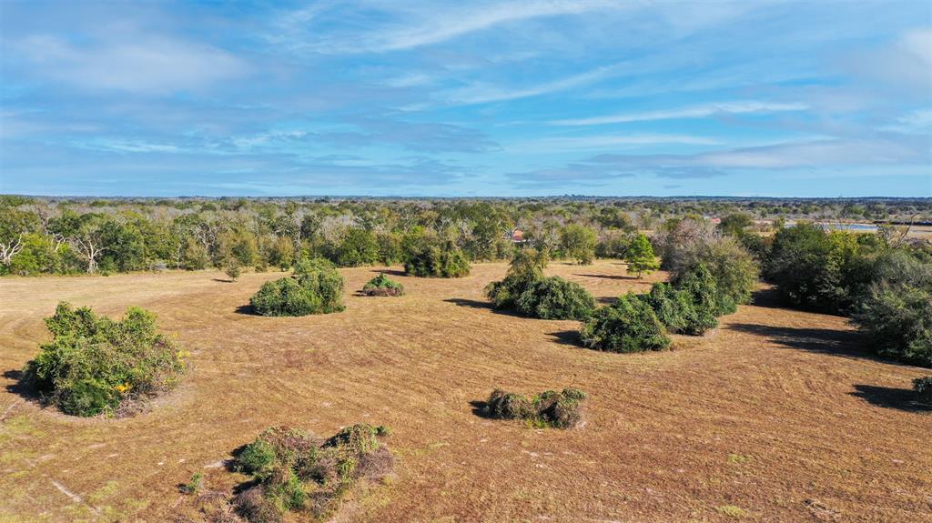 Lot 12 County Rd 229, Bedias, Texas image 6