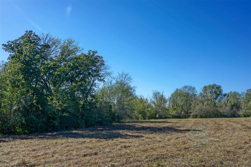 Lot 12 County Rd 229, Bedias, Texas image 9