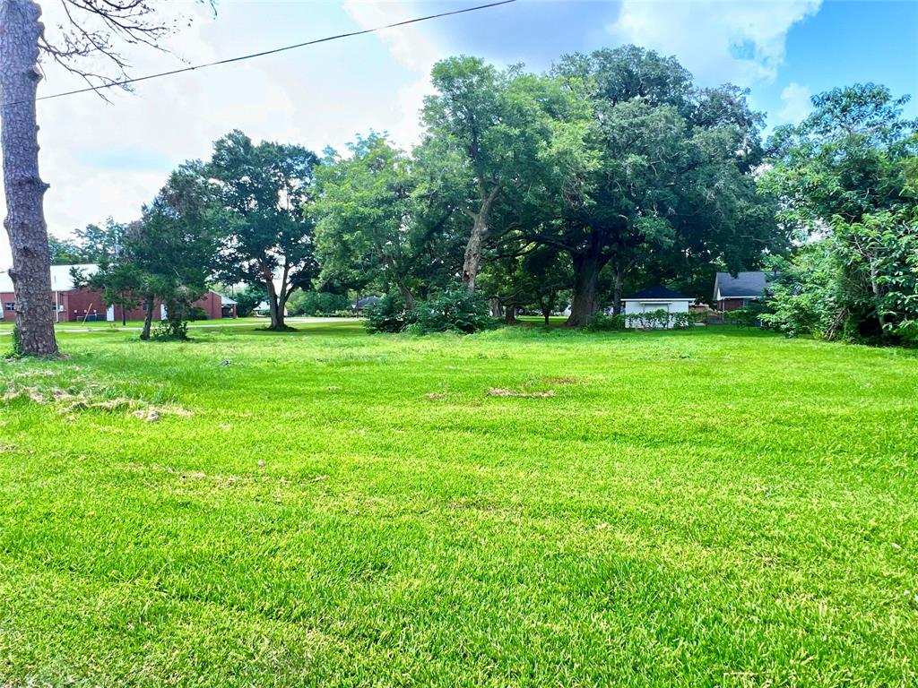 305 W Alabama Street, Brazoria, Texas image 11