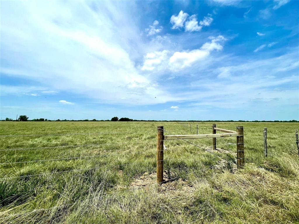 11353 Fm 1994 Road, Guy, Texas image 1