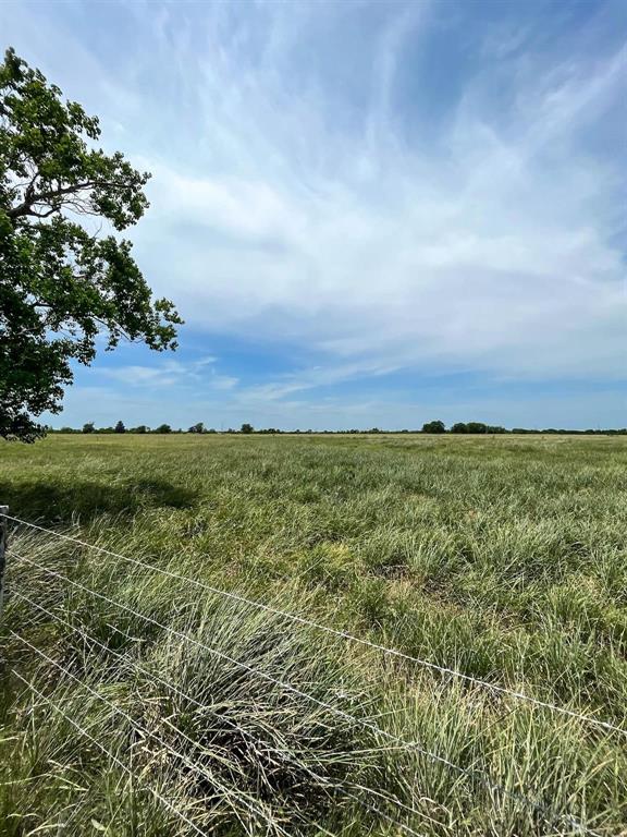 11353 Fm 1994 Road, Guy, Texas image 4
