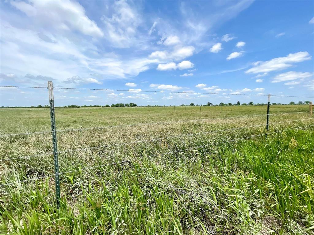 11353 Fm 1994 Road, Guy, Texas image 2