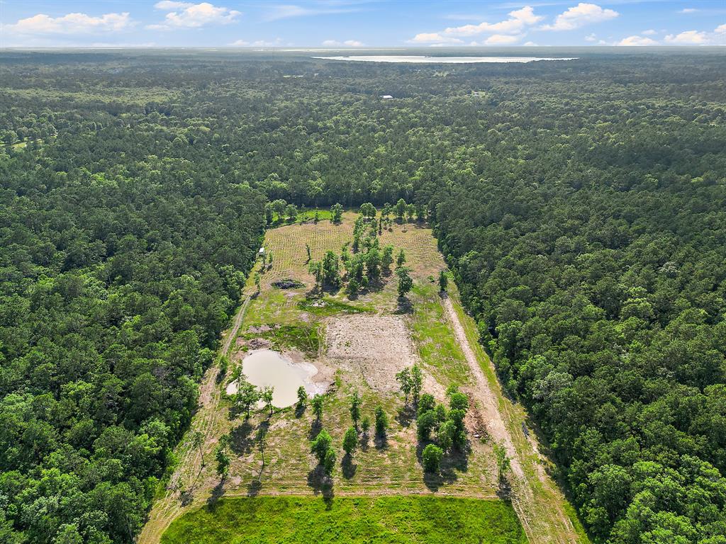 TBD Labrador Lane, Wallisville, Texas image 10