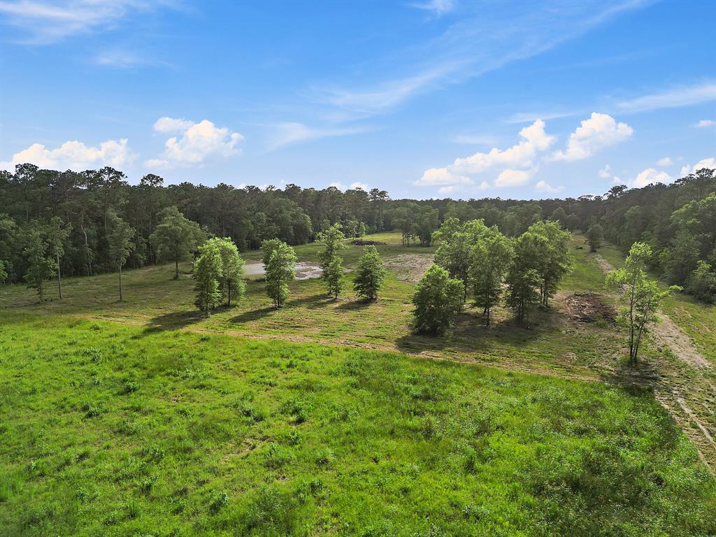 TBD Labrador Lane, Wallisville, Texas image 6