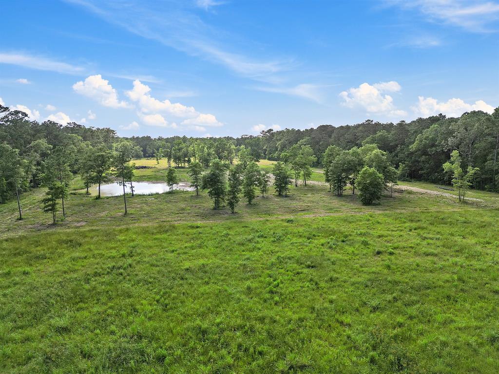 TBD Labrador Lane, Wallisville, Texas image 5