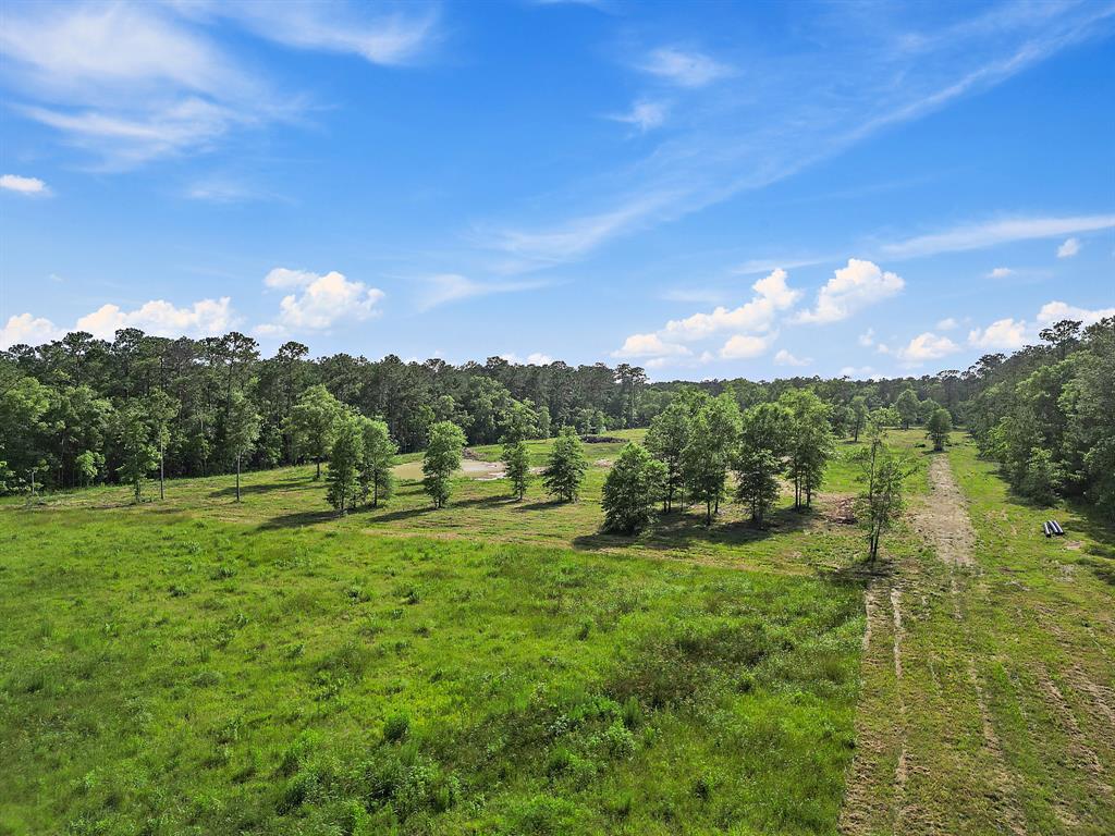 TBD Labrador Lane, Wallisville, Texas image 4
