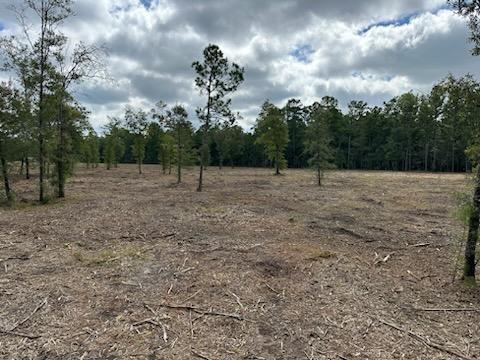 135 Labrador Lane, Wallisville, Texas image 5