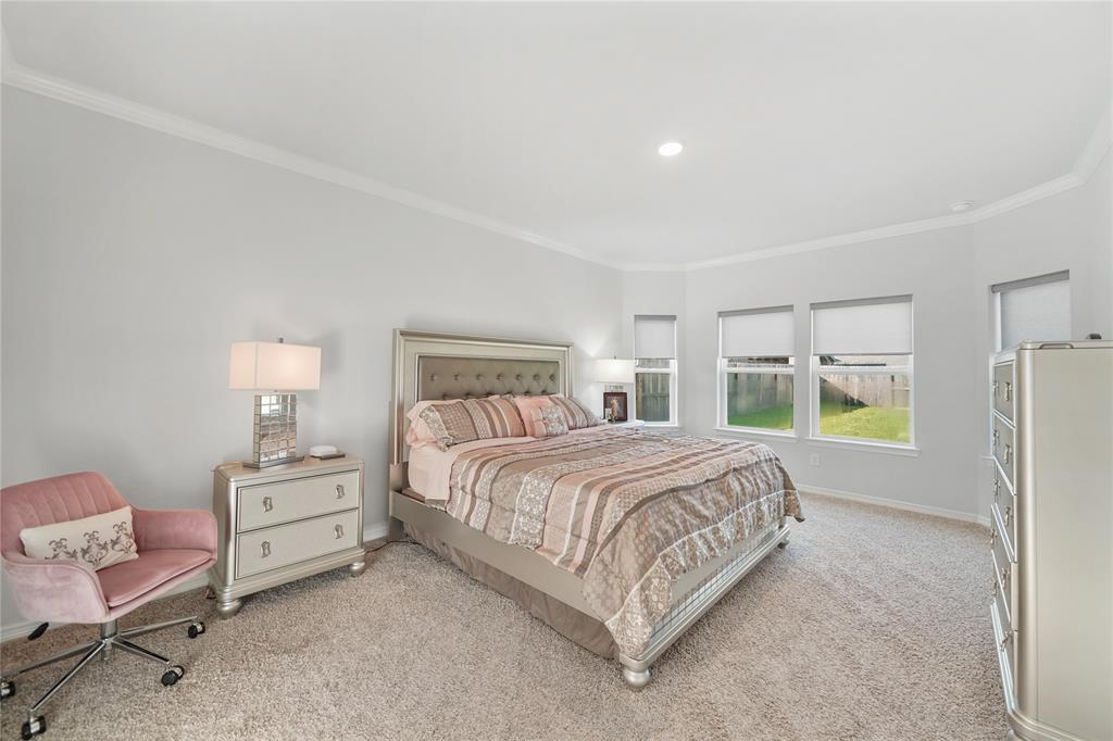 1711 Country Air Lane, Missouri City, Texas image 19