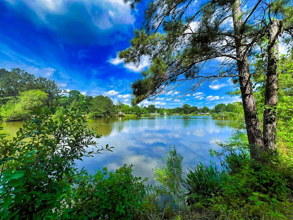 21683 County Road 3747, Splendora, Texas image 7