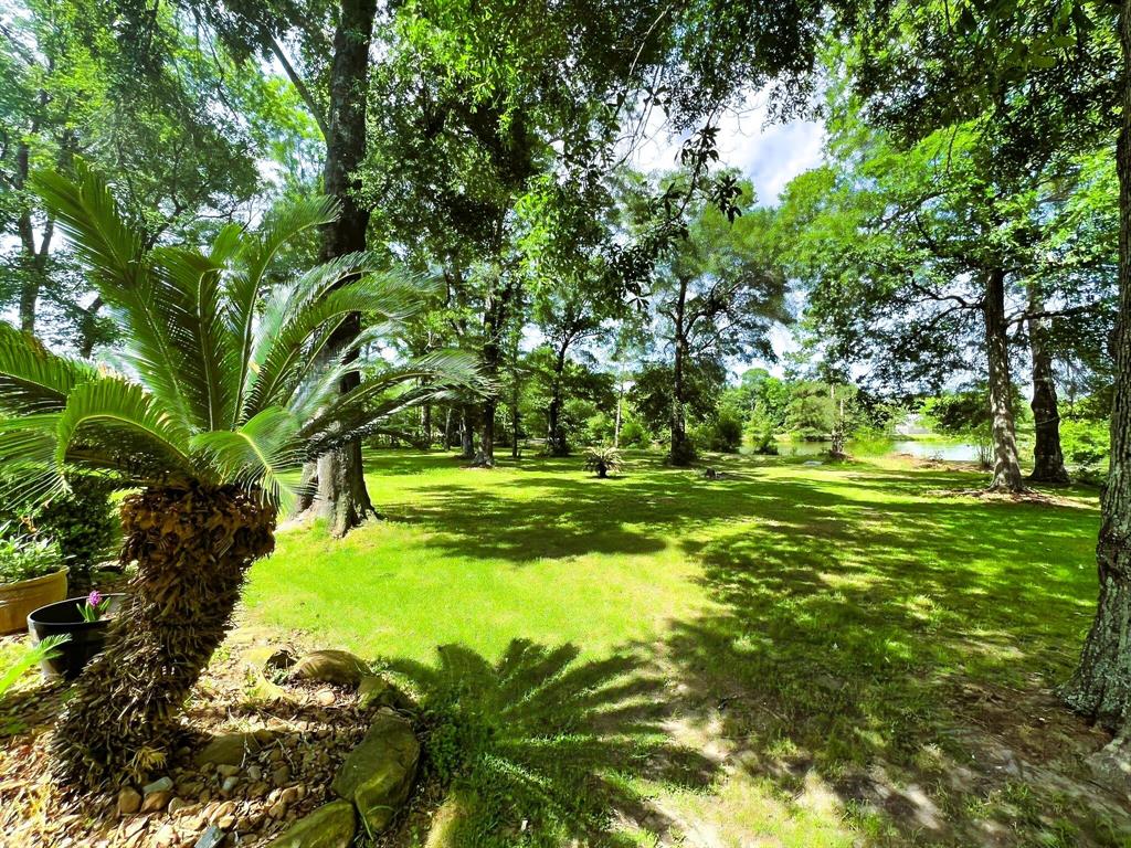 21683 County Road 3747, Splendora, Texas image 10