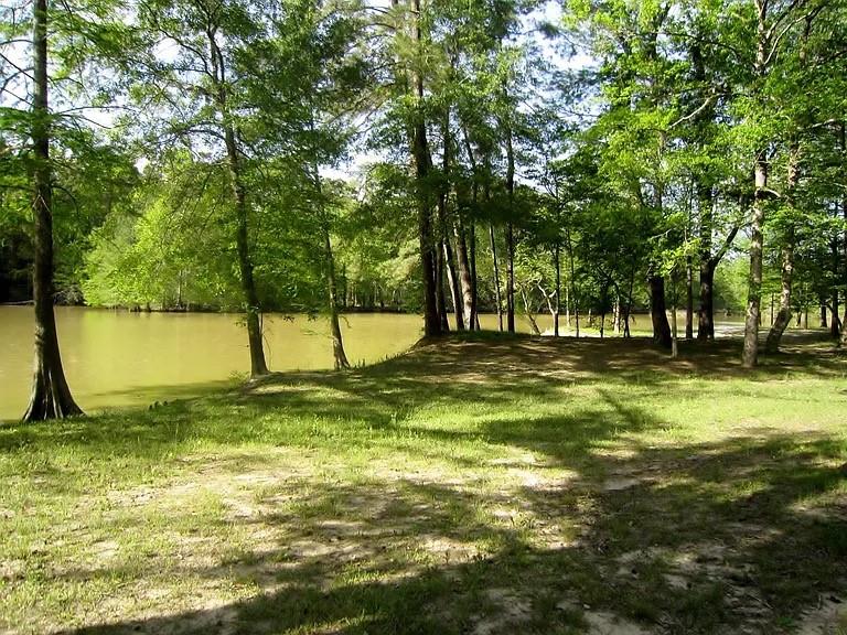 28710 Misty Oaks Drive, Huffman, Texas image 49