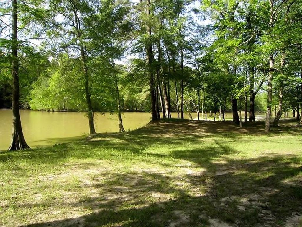 listing image 48