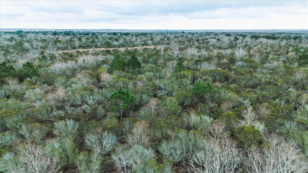 0000 Hwy 124, Stowell, Texas image 17