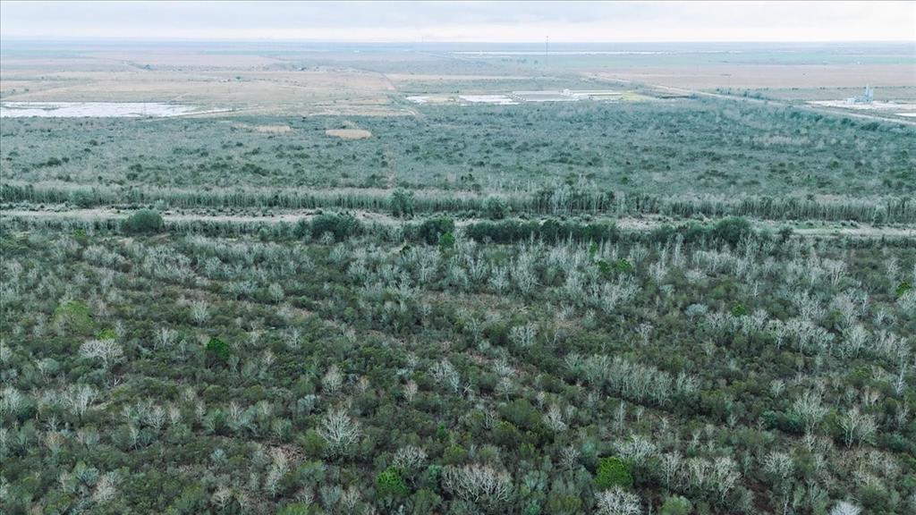 0000 Hwy 124, Stowell, Texas image 8