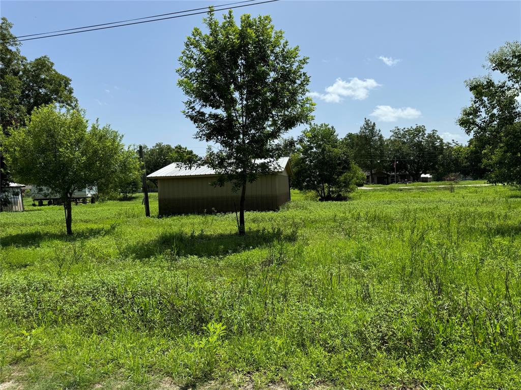 TBD White Oak Drive, Trinity, Texas image 3