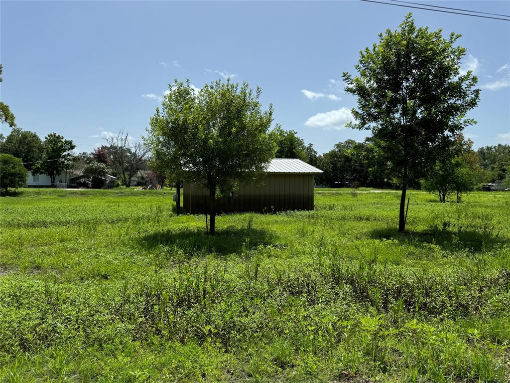 TBD White Oak Drive, Trinity, Texas image 4