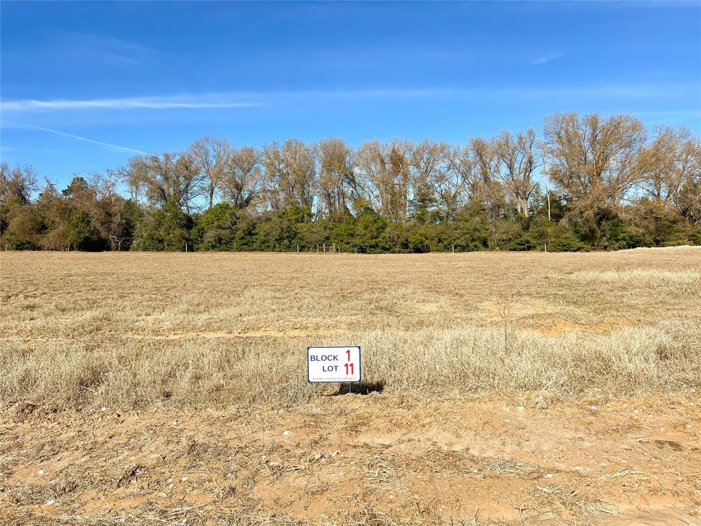 TBD Broadway Street, Jewett, Texas image 11