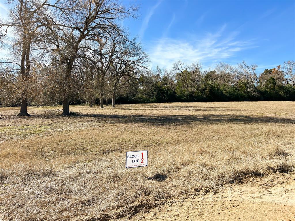 TBD Broadway Street, Jewett, Texas image 13