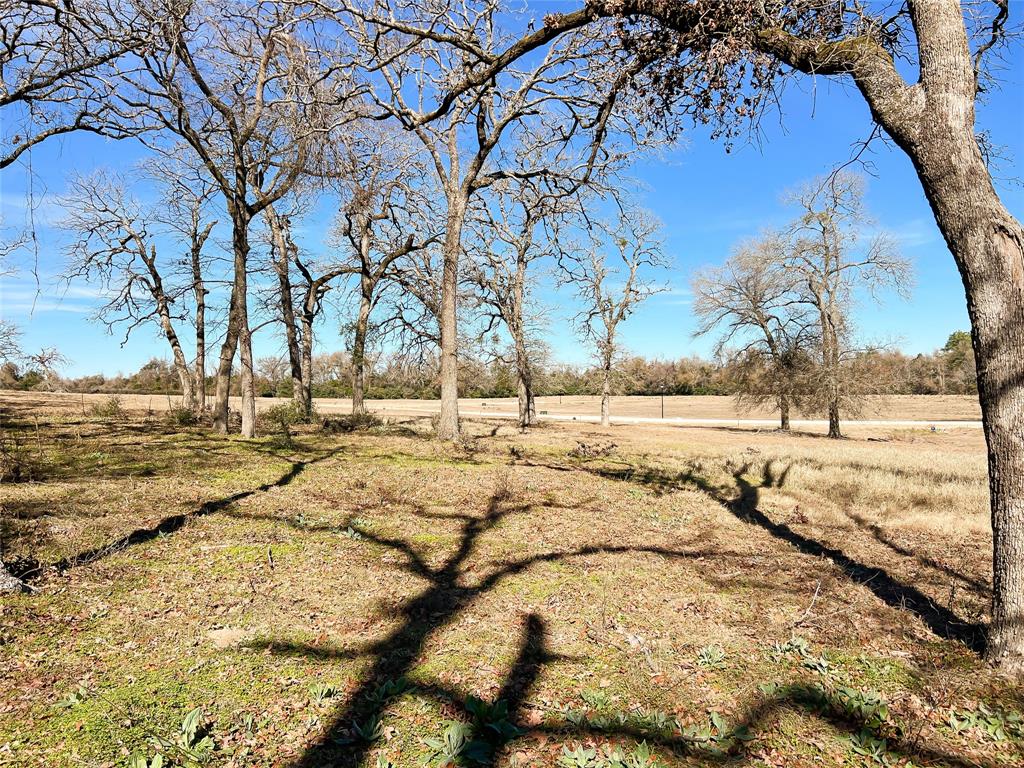 TBD Broadway Street, Jewett, Texas image 6