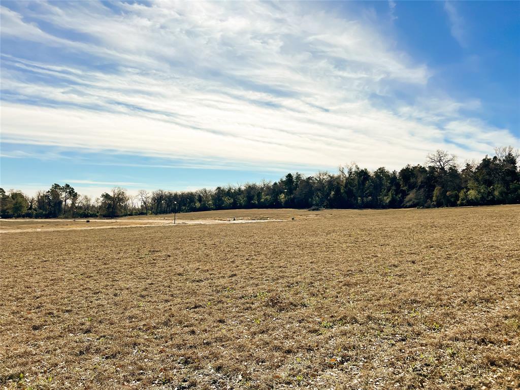 TBD Broadway Street, Jewett, Texas image 7